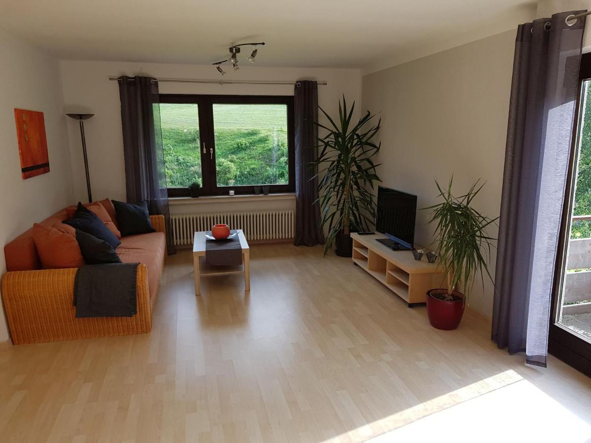 Ferienwohnung Haus Wiesengrund Форбах Екстер'єр фото